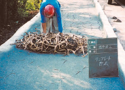 スプレーコンクリート施工手順⑤